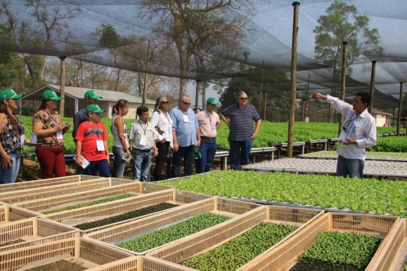 Tcnico da Empaer, Nesvaldo mostra o cultivo de hortalias no sistema hidropnico