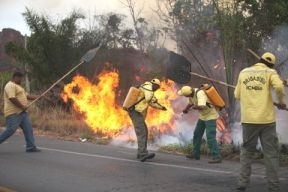 Direo do Parque Nacional de Chapada informa que o incndio foi criminoso