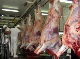 O levantamento do Mapa mostra as exportaes de carne in natura so predominantes