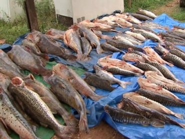 Dema autua 18 pessoas com 4,6 ton. de pescado irregular na piracema 