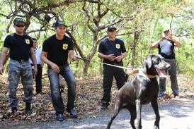 1 Curso de Adestramento de Ces para Faro de Drogas, da DRE