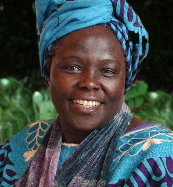 Parlamentar e biloga, Wangari Maathai, prmio Nobel da Paz em 2004, pela criao do Cinturo Verde