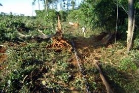 Operao de fiscalizao de desmatamento realizada pela Sema