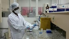At setembro, Ministrio da Sade registrou 200 mil casos provveis de zika no Pas