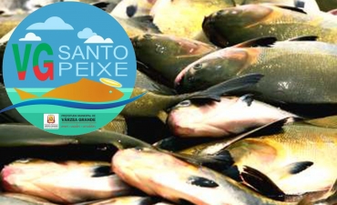 As vendas comeam na prxima segunda-feira. Sero disponibilizadas cerca de 3 toneladas de peixes com preo de R$ 8,50 o quilo. 