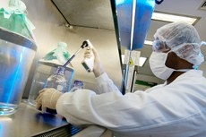 O laboratrio pblico Bio-Manguinhos/Fiocruz produz cerca de 6 milhes de doses mensais da vacina