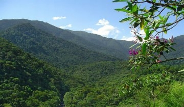 Brasil tem rea total de mais de 79 milhes de hectares de reas de preservao ambiental