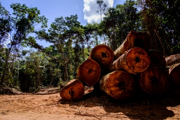 Sema-MT estima que a ao evitou o desmatamento de outros 800 hectares