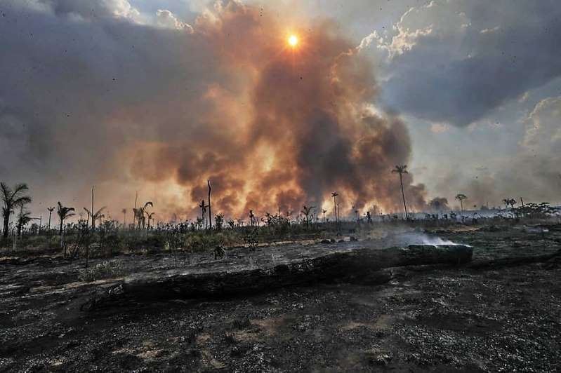  GABRIELA BILO / ESTADAO H evidncias de que a destruio da floresta tropical teria um impacto devastador sobre as temperaturas globais, sobre os padres climticos e a agricultura