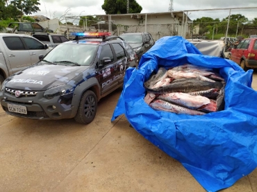 Todo o pescado apreendido na ao foi doado para entidades filantrpicas no municipio. - Foto: PMMT