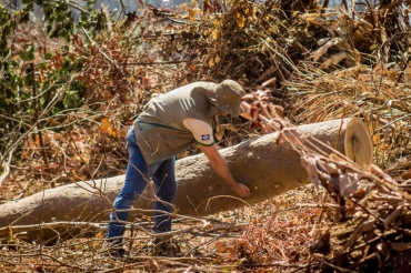 Operao de combate a o desmatamento ilegal - SEMA - Foto: Christiano Antonucci