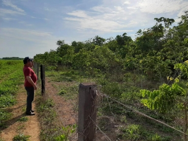 Pecuarista de Canarana (MT) mostra reflorestamento feito em pasto de sua propriedade rural - Foto: AGR Notcias