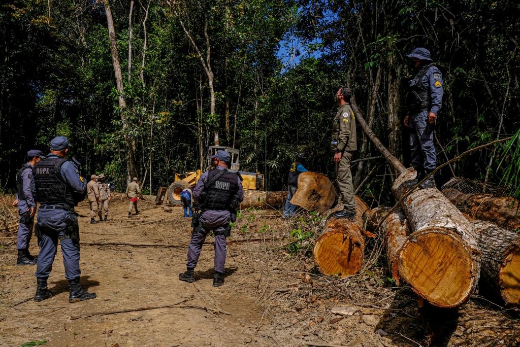 Operao Amaznia Arco Norte na regio de Aripuan - Desmatamento - Foto: Mayke Toscano/Secom-MT