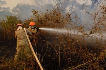 Combate aos incndios no Pantanal, em Pocon - Foto: Mayke Toscano