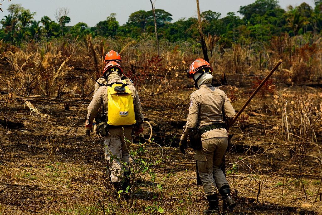 Ao combate ao desmatamento e queimadas ilegais em Colniza - Foto: Marcos Vergueiro/SECOMMT