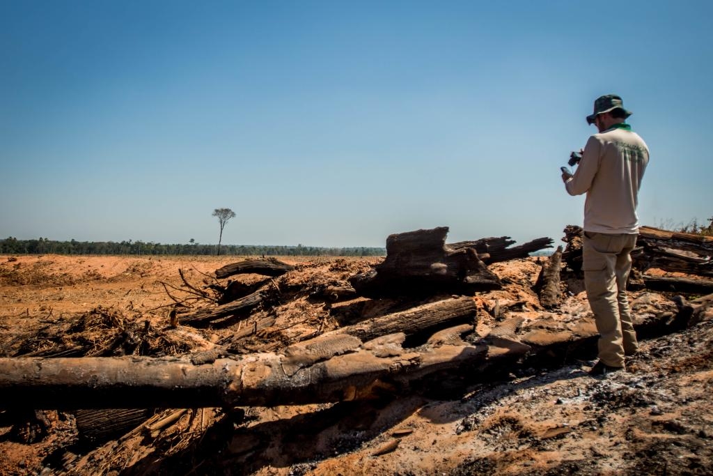 Operao de combate ao desmatamento ilegal - SEMA - Foto: Christiano Antonucci