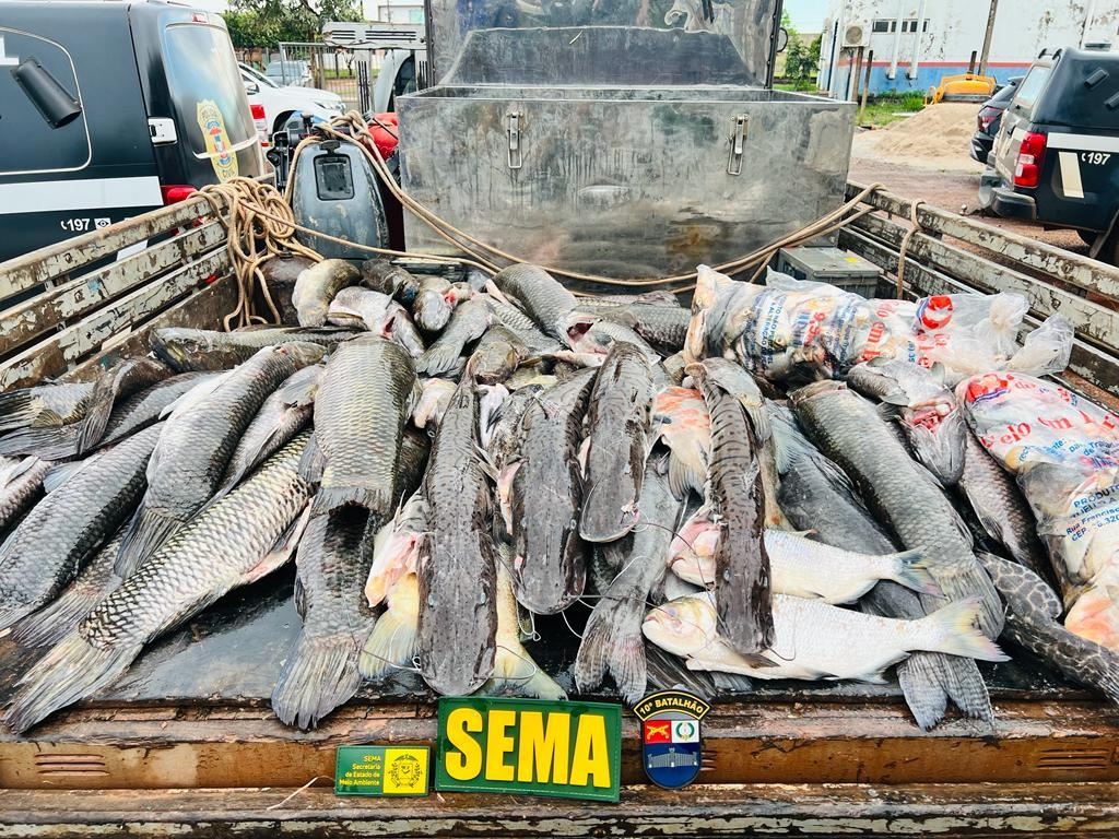 Peixes apreendidos pela fiscalizao ambiental - Foto: Sema-MT