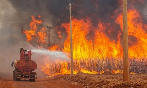 @ REUTERS/Joel Silva/ Proibida Reproduo