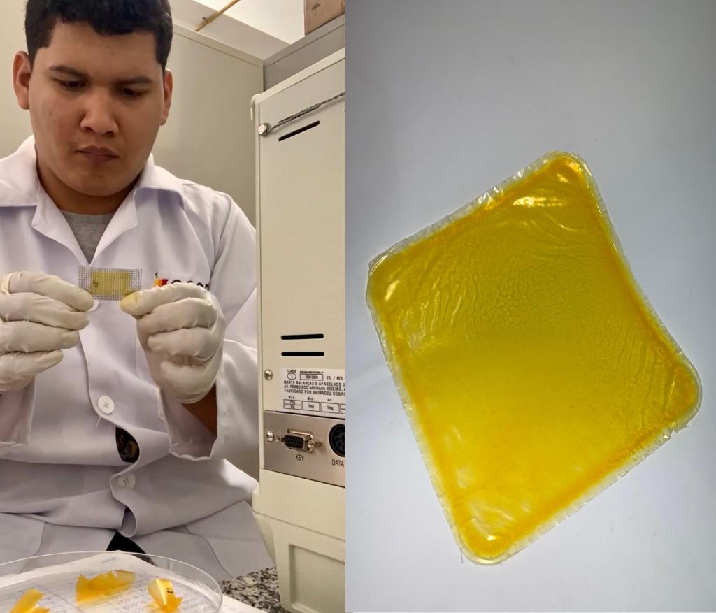 Foto: Arquivo/Pesquisador