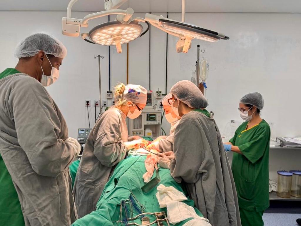 Foto: Central Estadual de Transplantes