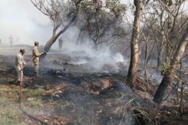 Populao deve ligar para o Corpo de Bombeiros nos casos de queimadas