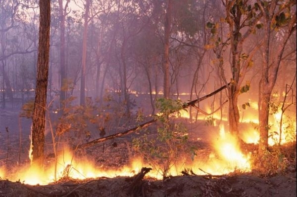 Governo do estado decidiu ampliar o perodo de proibio de queimadas.