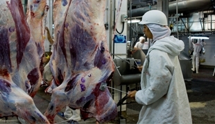 A carne, item de maior peso na cesta bsica, registrou recuo de preos em 11 capitais.