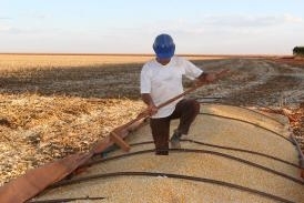 Atualmente os trs pases que se destacam na compra dos produtos de Mato Grosso so a China, Pases Baixos e Tailndia.