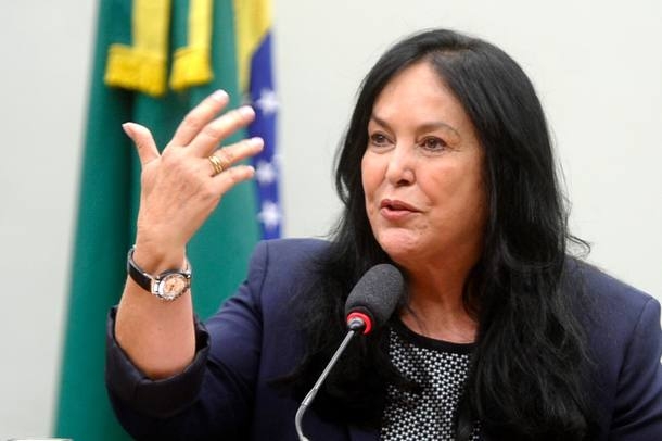 A senadora Rose de Freitas (PMDB-ES)