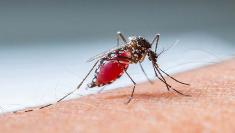 No prximo dia 2 de fevereiro, a prefeitura inicia a Operao Todos Unidos: Vrzea Grande contra a Dengue