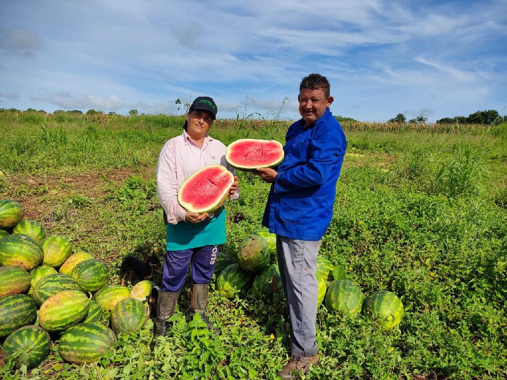 O casal de agricultores Adair e Maria Aparecida no final da safra da melancia - Foto: Arquivo produtor