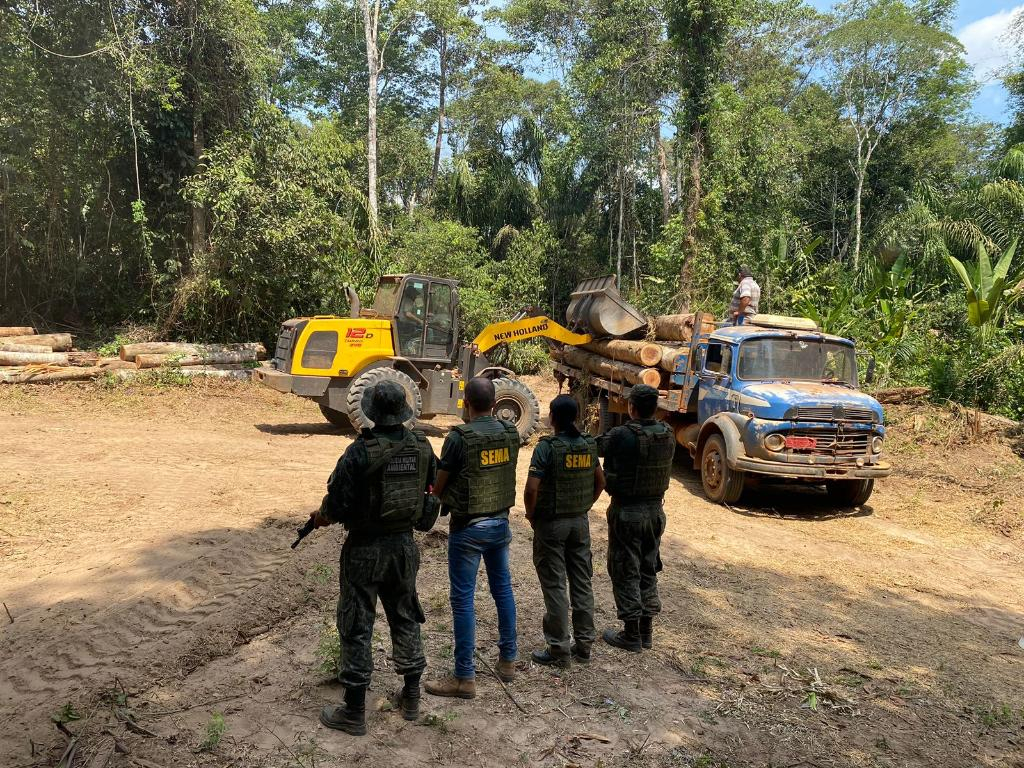 Toda a madeira ilegal apreendida, por se tratar de produto perecvel, foi doada  Prefeitura Municipal de Nova Maring. Foto: Sema-MT